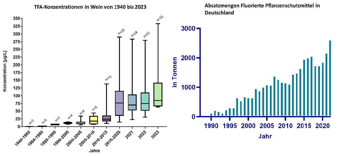 BoxPlot_Bild