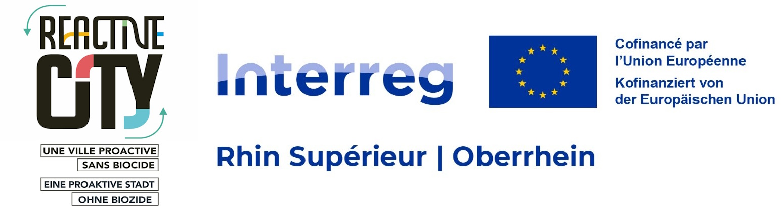 Interreg_Bild
